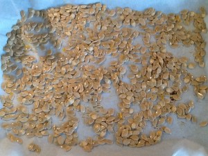 (all ready to roast)